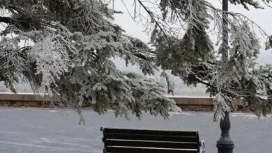 Крижаний дощ та ожеледиця в Миколаєві