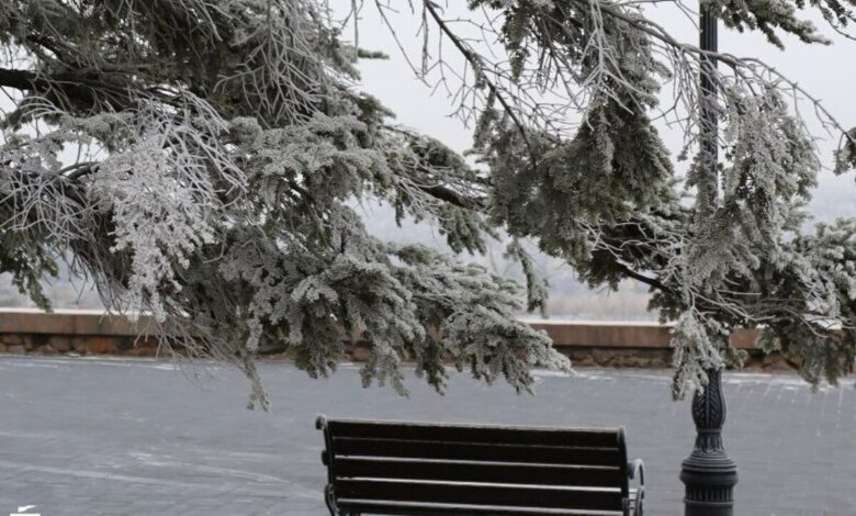 Крижаний дощ та ожеледиця в Миколаєві