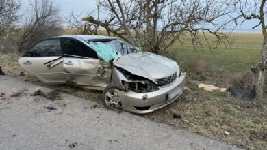 ДТП на трасі біля Рибаківки