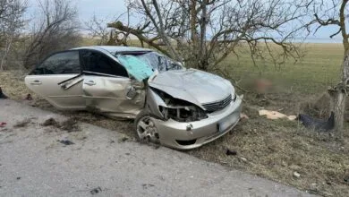 ДТП на трасі біля Рибаківки