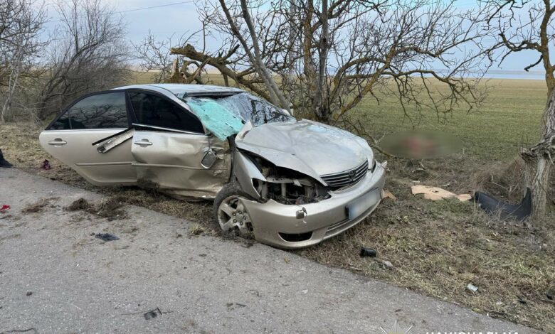 ДТП на трасі біля Рибаківки