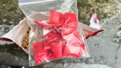 Пакет зі згортками психотропів