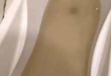 Вода з-під крану в Миколаєві