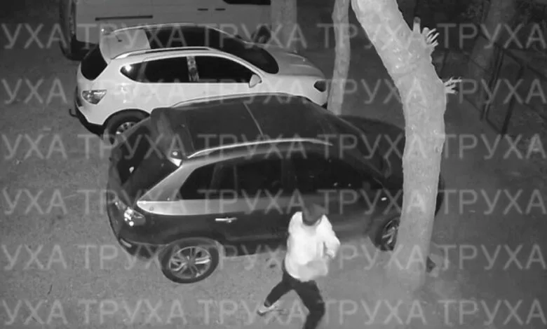 Вандал в Миколаєві цеглиною трощив припарковані авто