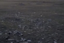 "Поле чудес" біля зупинки "ПМК"