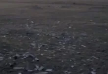 "Поле чудес" біля зупинки "ПМК"