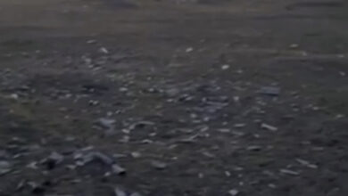 "Поле чудес" біля зупинки "ПМК"