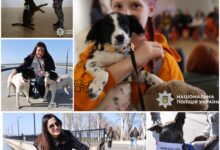 Під час виставки