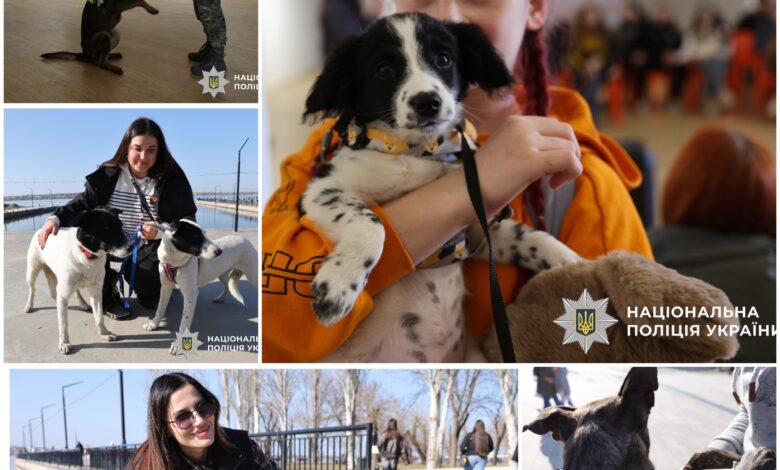 Під час виставки