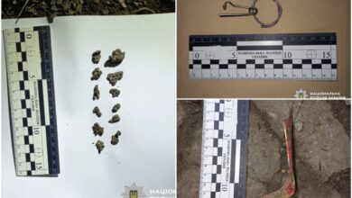 Залишки гранати (фото поліції Миколаївщини)