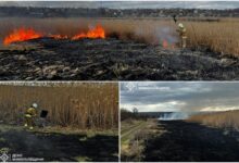 На Миколаївщину прийшла весна та пожежі