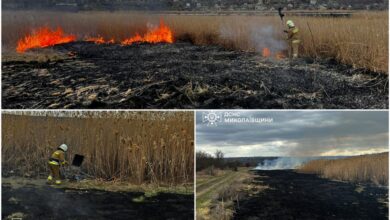 На Миколаївщину прийшла весна та пожежі