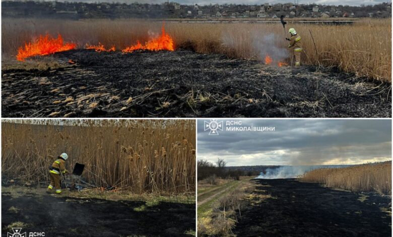 На Миколаївщину прийшла весна та пожежі