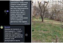 кронування дерев