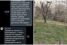 кронування дерев