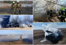 Вогнеборці Миколаївщини за роботою