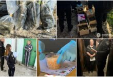 Затримано чергових наркоділків