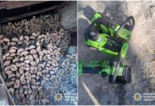 спиляні дерева