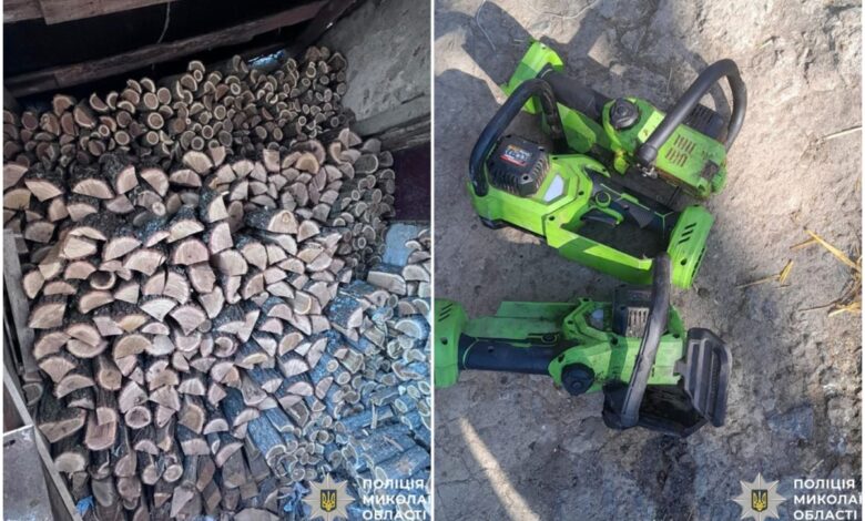 спиляні дерева