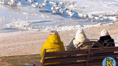 Лютий в Корабельному районі (пляж "Чайка")