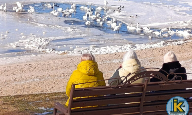 Лютий в Корабельному районі (пляж "Чайка")
