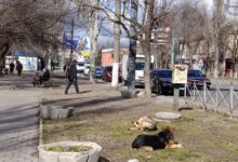 Теплий березень-2026 в Миколаєві