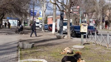 Теплий березень-2026 в Миколаєві