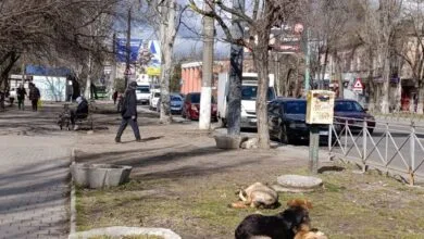 Теплий березень-2026 в Миколаєві