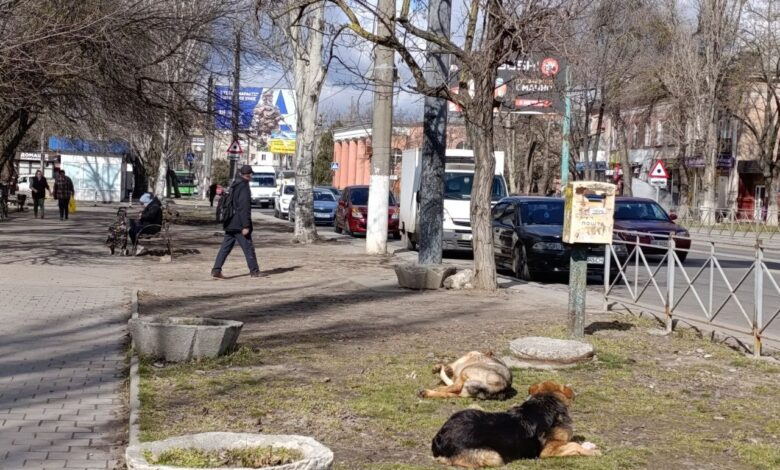 У Миколаєві найближчими днями призупинять опалення через теплу погоду