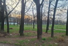 Сквер на вулиці Кобера