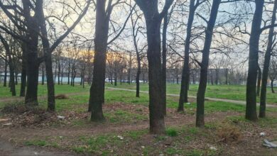 Сквер на вулиці Кобера