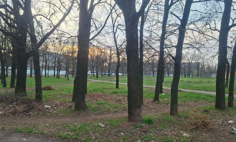 Сквер на вулиці Кобера