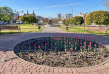 Понівечена клумба у Миколаєві