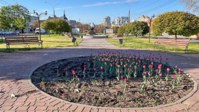 Понівечена клумба у Миколаєві