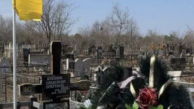 Могила Олександра Куемжи