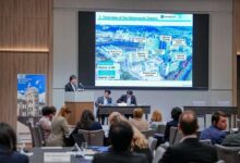 з Миколаєва - до Японії