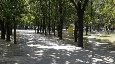 Сквер по вулиці Кобера