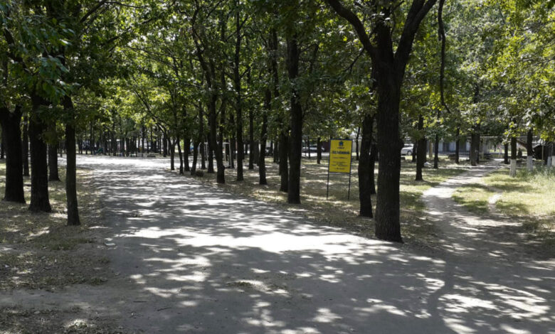 Скандал із вирубкою дерев: Сєнкевич відповідає на звинувачення містян