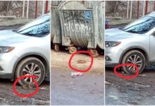 Щури йдуть на Миколаїв?