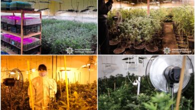 Наркотична плантація "за наукою"