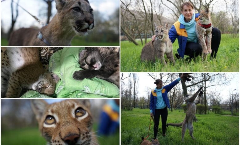 Марися, Аміна та їхня "мама" Тетяна (фото Суспільне Миколаїв/Олександр Гордієнко)