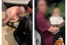 Озброєне викрадення на Закарпатті