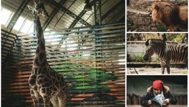 Миколаївському зоопарку 125 років