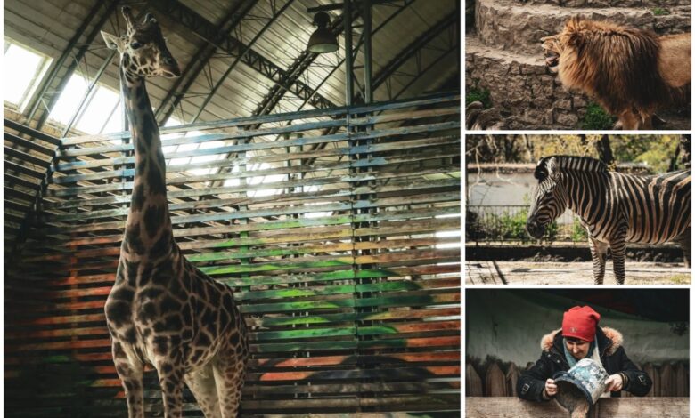 Миколаївському зоопарку 125 років