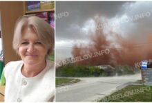 еколог пояснила ситуацію з пилом із МГЗ