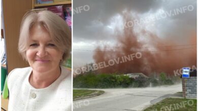 еколог пояснила ситуацію з пилом із МГЗ