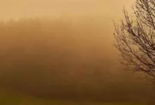 Пилова буря (фото ілюстративне)