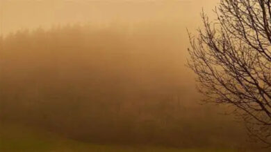 Пилова буря (фото ілюстративне)