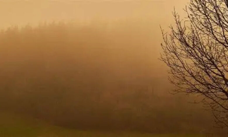 Чи накриє Україну пилом з Сахари? Офіційна відповідь синоптиків