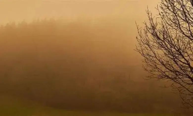 Пилова буря (фото ілюстративне)